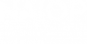 NAIOP logo