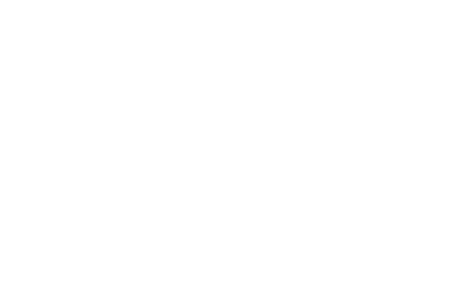 The toy foundation logo